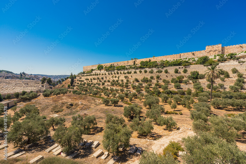 Scenic view of Kidron Valley featuring Olive trees, a cemetery and the Golden Gate in the Temple Mount of Jerusalem