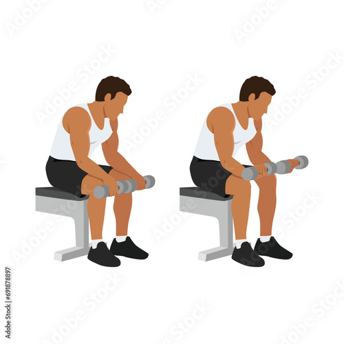 Man doing seated dumbbell palm down wrist curls or forearm curls exercise. Flat vector illustration isolated on white background photo