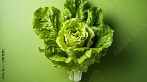 Wallpaper Mural Fresh Green Cos Lettuce, HD, Background Wallpaper, Desktop Wallpaper Torontodigital.ca