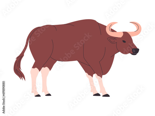 brown color kouprey wild cattle animal with big horned herbivore mammal and endangered creature