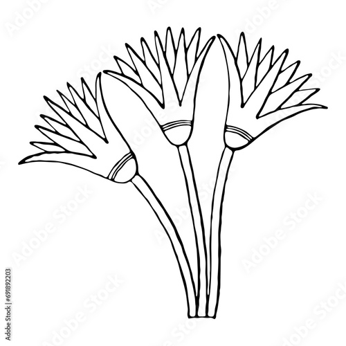 Egyptian floral moti. Flower lotus icon.