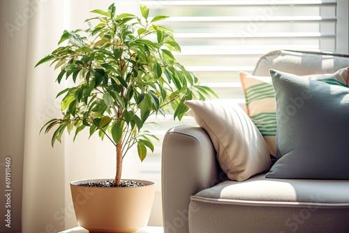 Lush green plants in decorative pots enhance the home interior, bringing nature indoors with style.
