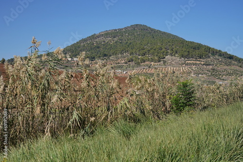 Konstfotografi Mount Tabor in the Galilee, Israel with the Church of Transfiguration on top and