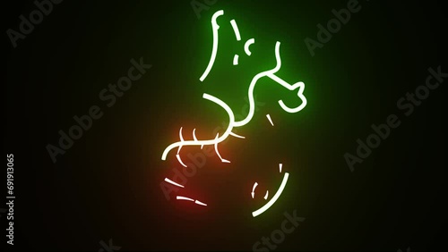 Glowing red and green neon human heart animation. Human blood circulation system heartbeat anatomy animation concept. Animation of a breathing glowing human heart photo