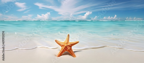 A view of a starfish on a beach cloudy sky and turquoise sea at Kuredu island Maldives Lhaviyani atoll. Copy space image. Place for adding text