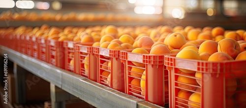 Closeup of stacks of plastic fruit boxes with fresh ripe peaches in storage warehouse. Copy space image. Place for adding text
