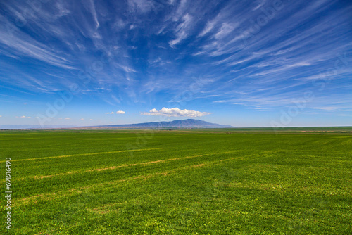 Sky and field in Gansu province, China photo