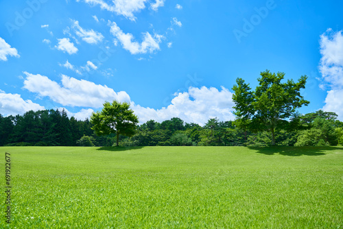 芝生と新緑と青空の広がる風景