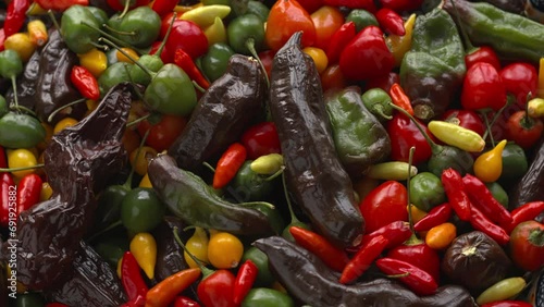 Mix of different types of chilies - Brazilian Biquinho Yellow, ripe and unripe Brazilian Red Olive, Peruvian Machu Picchu, and Tabasco rotating in a circle. Seamless loop. photo