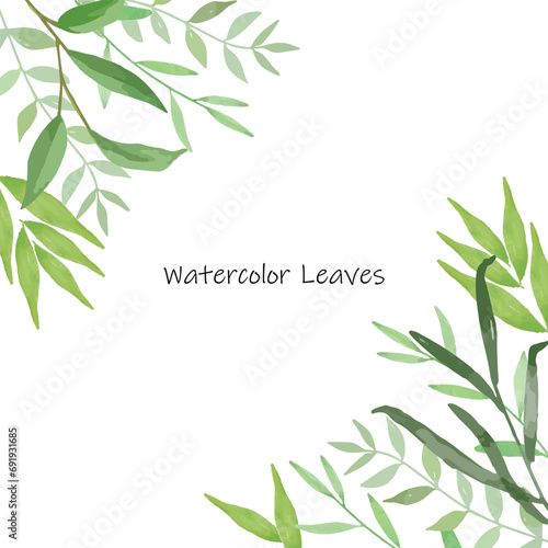 watercolor green leaves elements. Collection botanical vector isolated on white background suitable for Wedding Invitation  save the date  thank you  or greeting card.