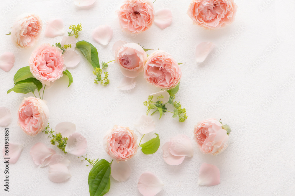 ピンク色のバラの花 ハートの形 ピンク色のバラの花 ハートの形