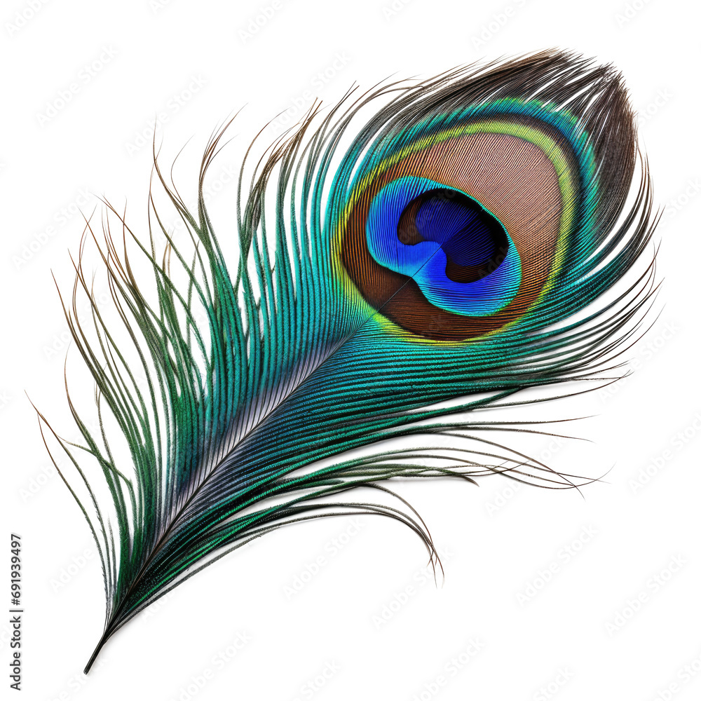 Fototapeta premium colorful peacock feather, isolated on transparent background