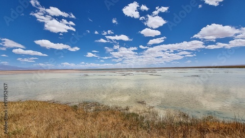 landscape with lake