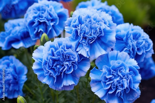  a bunch of blue flowers that are blooming in a planter in front of some other flowers that are in the background.