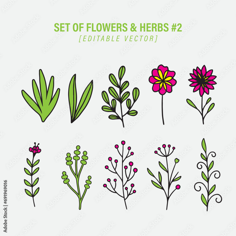 Set Of Botanic Flowers And Herbs Editable Vector