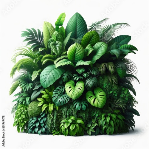 Vibrant and diverse  a vast array of tropical plants thrives in shades of green  boasting delicate flowers and lush leaves