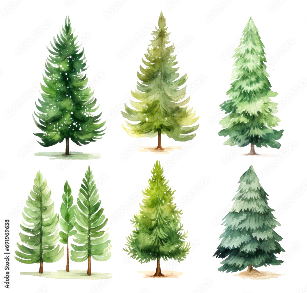 Set Watercolor illustrations of different types of evergreen trees, showcasing their unique shapes and foliage against a white background. Soft focus.