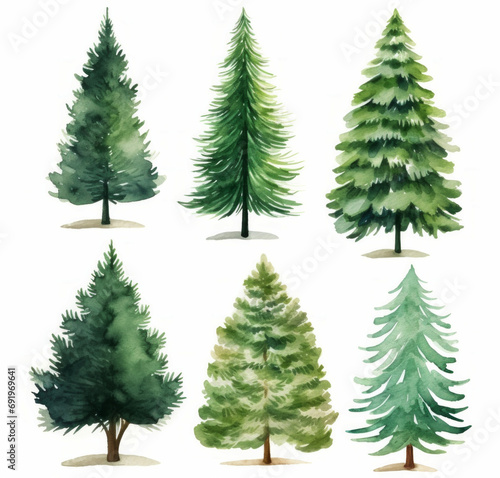 Set Watercolor illustrations of different types of evergreen trees  showcasing their unique shapes and foliage against a white background. Soft focus.