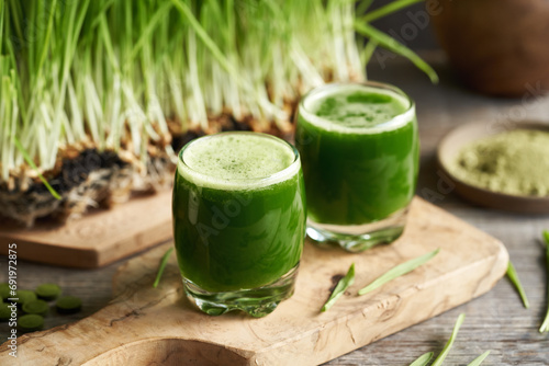 Green barley grass juice with fresh homegrown blades on a table
