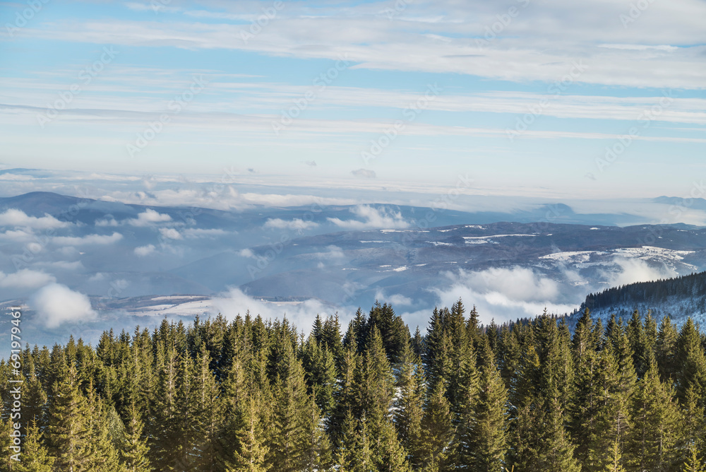 Beautiful Winter Landscape with Pine Trees and Clouds . Vitosha Mountain ,Bulgaria 