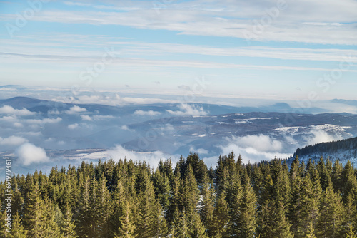 Beautiful Winter Landscape with Pine Trees and Clouds . Vitosha Mountain ,Bulgaria 