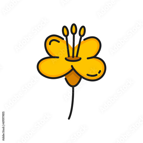 Rapeseed, canola flower icon. Isolated vector linear sign, vibrant yellow petals with central cluster of seeds, symbolizing agriculture, oil production, natural beauty. Brassica napus or colza bloom