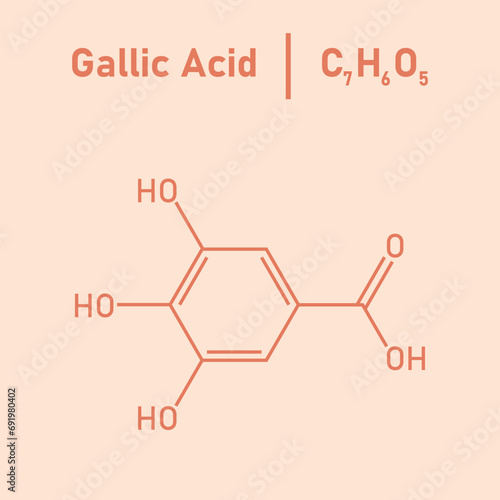 Chemical structure of Gallic acid (C7H6O5). Chemical resources for teachers and students. Vector illustration.