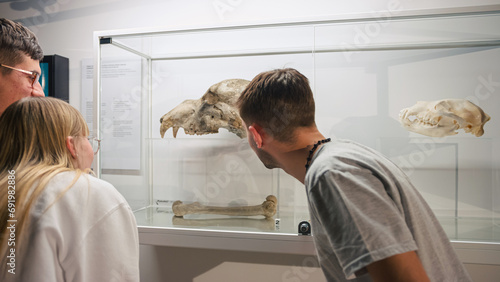 Curious young people observing animal skeletons and skulls displayed in a showcase during natural history museum visit.