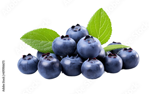 Collection of Yummy Blueberry on White or PNG Transparent Background