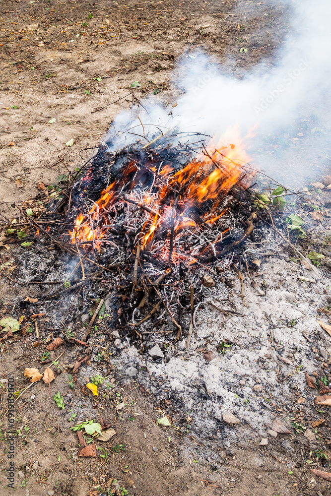 fire from branches and fallen leaves in village garden on autumn day fire from branches and fallen leaves in village garden on autumn day