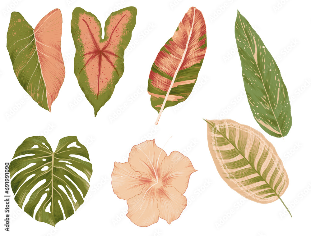 leaves and flowers for pattern surface design digital illustration green and pink summer drawing handmade tropical