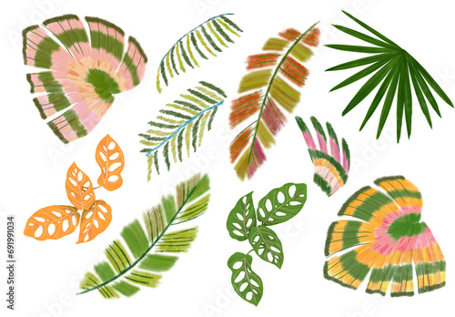 colorful tropical set isolated elements flowes and plants branches artsy watercolor gouache handrawn digital illustration cashew monstera leaf feather parrot palm pink embroidery leaves abstract photo