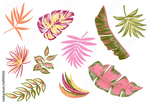 handpainted illustration abstract tropical nature jungle colorfull summer leaves and flowers palm leaf monstera watercolor gouache style isolated elements white background pink green yellow orange