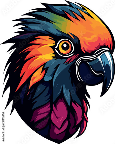 pappagallo colorato 01 photo
