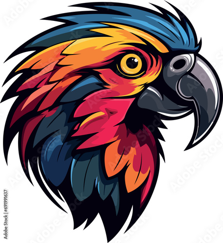 pappagallo colorato 04