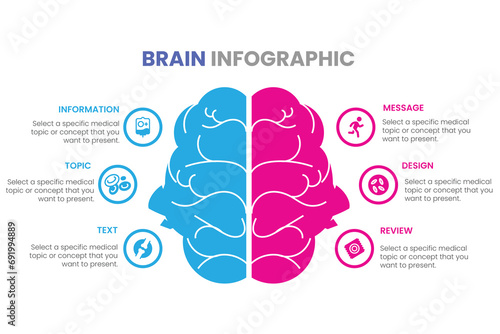 Brain structure left analytical and right creative hemispheres infographics set vector illustration photo