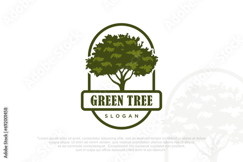 Oak tree logo . Design silhouette of a tree . Vector illustration