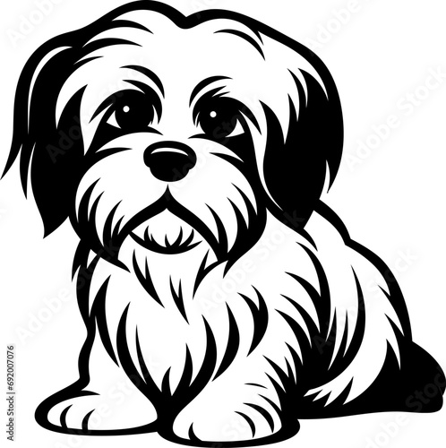 Maltese dog silhouette in black color. Vector template for laser cutting wall art. photo