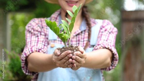 Attractive Asian gardener female smiling to camera show healthy trees with soil in hands presenting to customers on online social media, small business owner lifestyle working in garden selling plants