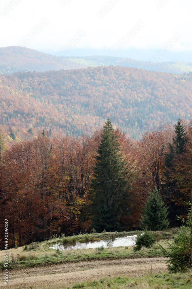 Countryside in mountains at sunrise. Grassy rural slopes with fields and trees in fall foliage in autumn. Magnificent mountain in the hazy distance. Countryside in mountains at sunrise. Grassy rural slopes with fields and trees in fall foliage in autumn. Magnificent mountain in the hazy distance.