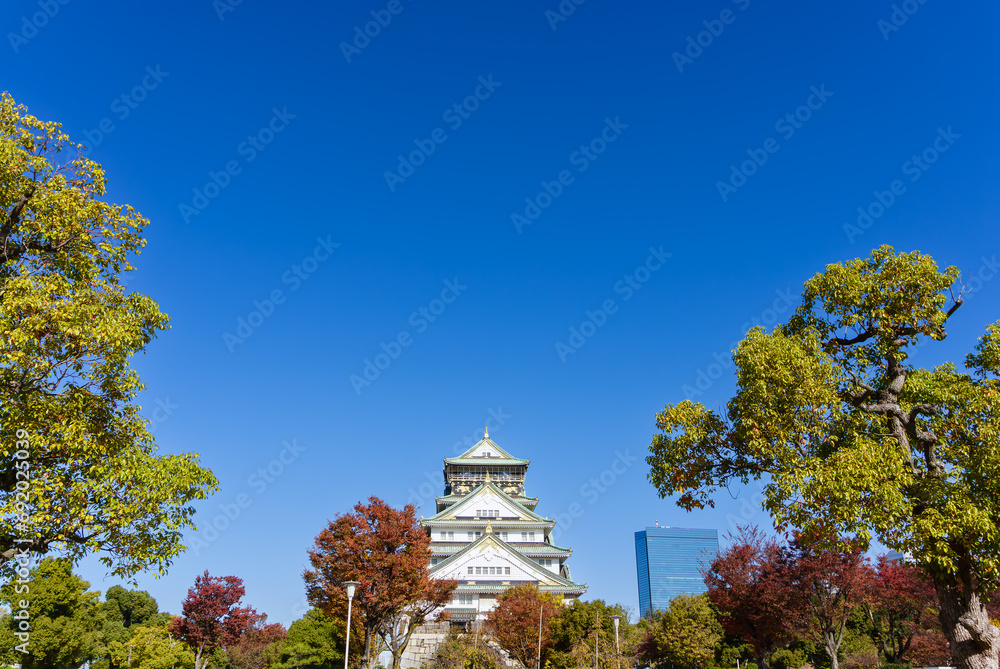 Osaka Castle in Fall or Autumn season. Maple tree are turn into red and orange leaves foreground. Famous landmark in Osaka, Kansai,Japan.