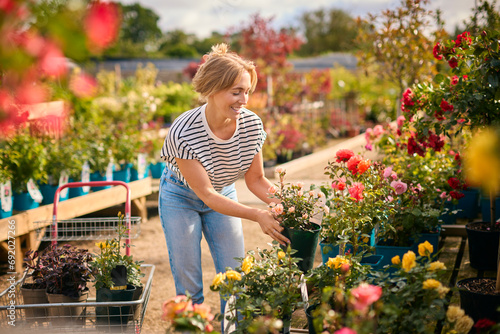 Foto Woman With Trolley Outdoors In Garden Centre Choosing Plants And Buying Rose