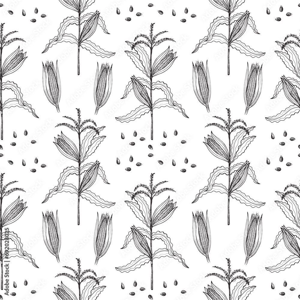 Corn hand drawn seamless pattern. Vector repeating background with corn ...