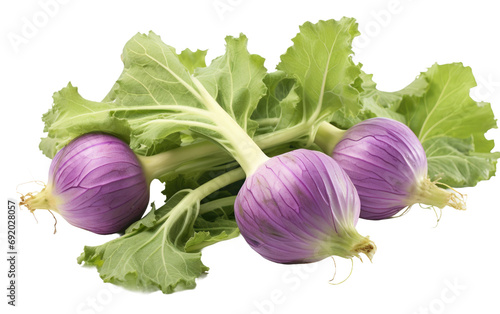 Gorgeous Colorful Kohlrabi on White or PNG Transparent Background. photo