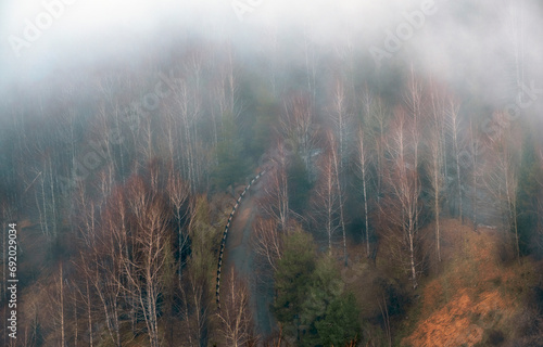 Winding road in misty forest mountains with birch trees in autumn