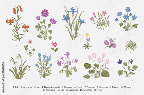 Millefleurs. Second set. Vintage vector botanical illustration. photo