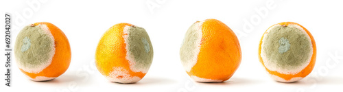 Rotting orange on a white background. Spoiled fruit