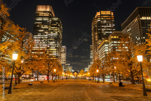 東京駅行幸通りの夜景　秋のイチョウ並木　Night view of Tokyo Station Gyoko-dori, lined with ginkgo trees in autumn