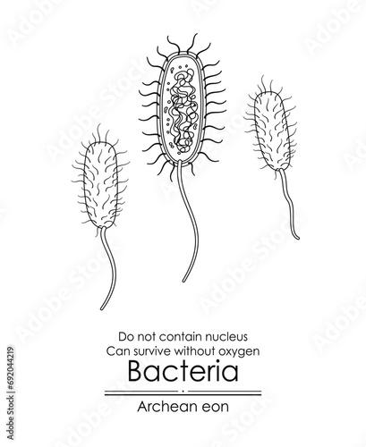 Bacteria, a single-celled organism, it can survive without oxygen.  First appered in Archean eon. Black and white line art is perfect for coloring and educational purposes photo