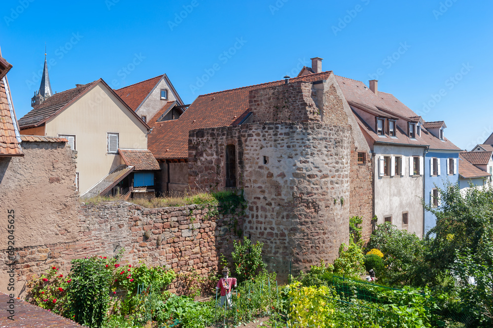 Teil der historischen Stadtmauer entlang der Straße Rem Marechal Joffre in Obernai. Departement Bas-Rhin in der Region Elsass in Frankreich